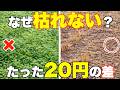 【効果激変!】たったの20円。入れてない人、損してます
