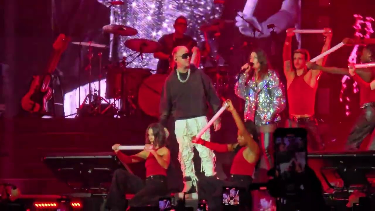 Emma Marrone : Amore cane 11/11/24