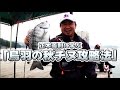 正木義則に学ぶ「鳥羽の秋チヌ攻略法」