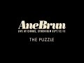 Ane Brun The Puzzle - Live