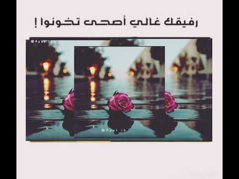 جينا بكينا مهما حكينا