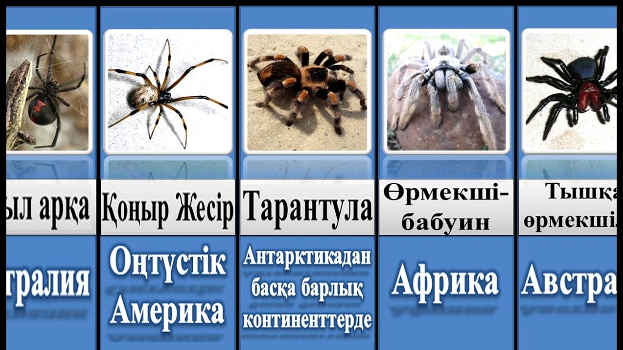 Халаттағы қызбен жыныстық қатынас