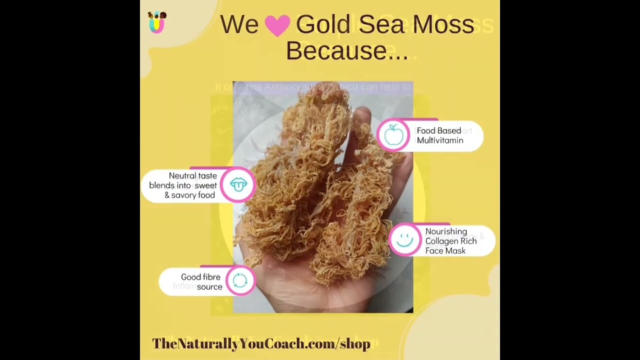 Not sure what sea moss to buy? Here's a simple guide to help - TheNaturallyYouCoach.com/Shop