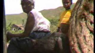 Video thumbnail of "Bulimundo - Tera Bufa."