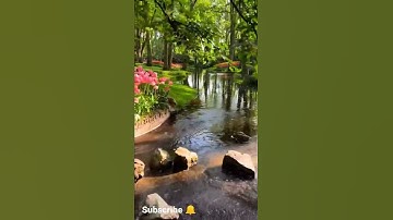 Thumbnail of Little things song 🌺//Adrian berenguer//short video....