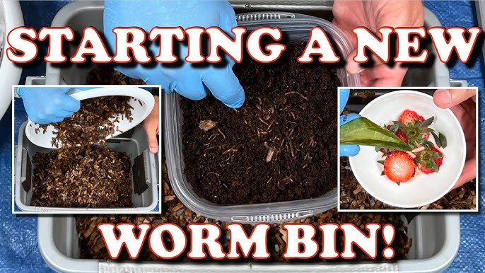 How to make an indoor composting bin 