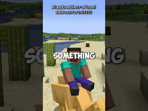 what does steve