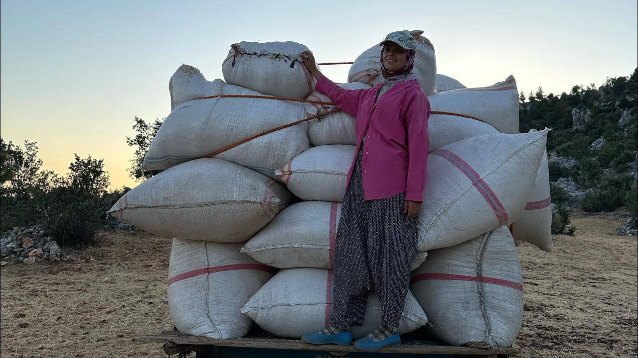 HARARA SAMAN BASTIK, TRAKTÖRE KAÇ ÇUVAL YÜKLEDİK? KÖYDE EVİMİZ VAR MI ?