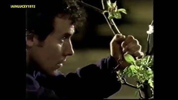 SCRUMPY JACK APPLE CIDER TV ADVERT  planting tree on pavement  LWT  HD 1080P