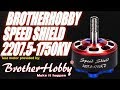 BrotherHobby Speed Shield 2207.5-1750KV 6S Thrust Tests & Overview