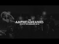 Capture de la vidéo The Amphetameanies (Live At Wickerman 2015)