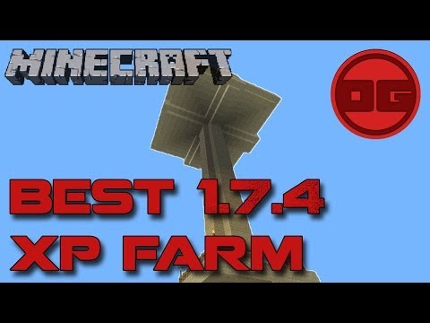 BEST XP FARM
