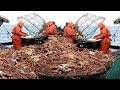 Awesome Big King Crab Fishing on The Sea - Catching And Processing King Crab On The Morden Boat
