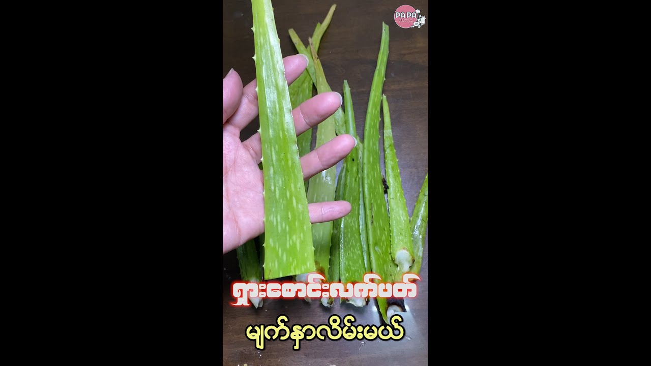 မျက်နှာပေါင်းတင်ထားသလိုလှစေတဲ့ရှားစောင်းလက်ပတ်လိမ်းနည်း