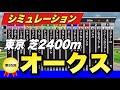 オークス2024展開予想シミュレーション ステレンボッシュ二冠を阻む馬はいるのか!?【競馬】