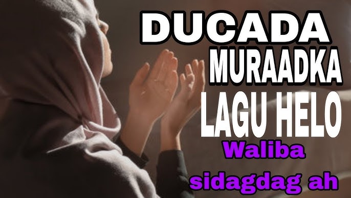 Azosi juda katta va qalin, zorga uning mushuk mos keladi. Azosi juda katta va qalin, zorga uning mushuk mos keladi.