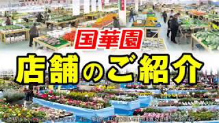 国華園 店舗案内short2 Youtube
