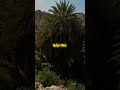 قرآن Quran سابقوا قرآن Quran سابقوا