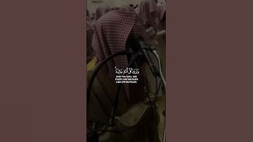 [وَتَرَىٰ كُلَّ أُمَّةٍۢ جَاثِيَةًۭ ۚ] محمد اللحيدان سورة الجاثية #قرآن Muhammad al Luhaidan