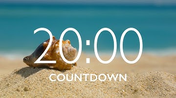 20 Minute Timer with Music and Alarm 🎵⏰