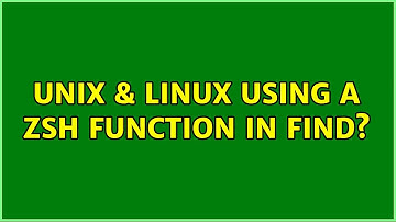 Unix & Linux: Using a zsh function in find?
