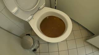 1. Satisfying drain unblock without commentary..     Drei Toiletten auf einmal.