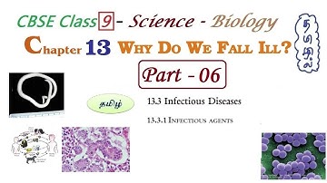 Why Do We Fall Ill in Tamil | Part 06 | Class 9 Science Chapter 13 Biology in Tamil | CBSE, NCERT