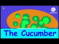 The Cucumber Toyor Baby English V2 In Goo Goo Gaa Gaa The Cucumber Toyor Baby English V2 In Goo Goo Gaa Gaa