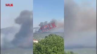 Yanıyoruz Bayat Ile Ciciler Mahallesi Arasındaki Ormanlık Alan Tekrar Alev Aldı