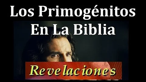 ¿Quién es el Dios primogénito?