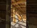 Our barn conversion to 4 bed family home day 93 #diy # #construction #home #lifeisbutadream