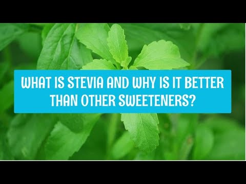 what-is-stevia-and-why-is-it-better-than-other-sweeteners?