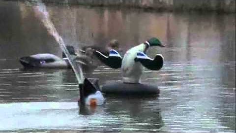 The Decoy Boss controlling two different decoys