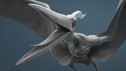 Tugas Modul 4a 2025 - Praktikum Sistem Multimedia - Norris Elden Salassa - 230211060050