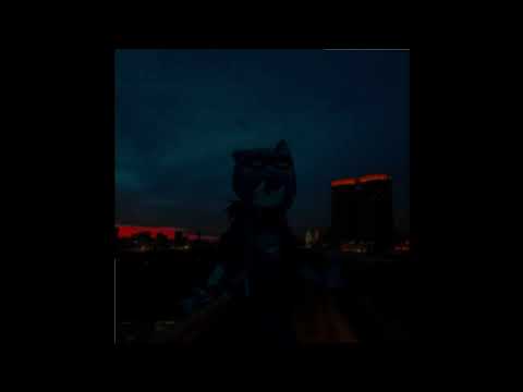 Bukiko - herpcore