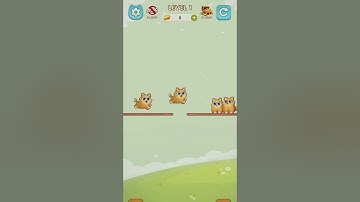 Cat Sort Puzzle 1 - Gameplay Walkthrough (iOS & Android) #shorts