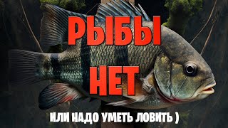 Невезение или неопытность?Как остаться без рыбы 🤷‍♂️ Рыбалка в Крыму 2023