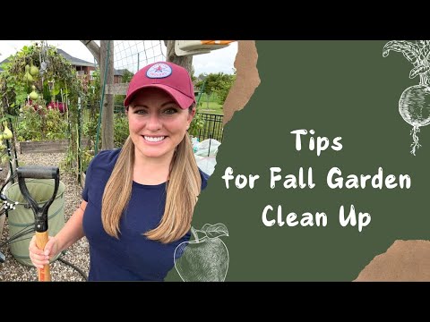Fall Garden Clean Up | Should You Clean Up Your Garden in Fall?