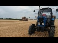 🌾🌾Комбайн Нива СК 5 уборка канадской озимой пшеницы после пара 🌾🌾