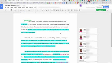 Google Docs Peer Revision Between School Districts