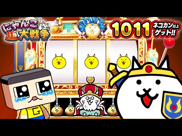 我が家のにゃんこ(*^^*) The fact that 