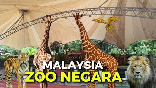ZOO NEGARA MALAYSIA 4K Inside the National Zoo in Malaysia