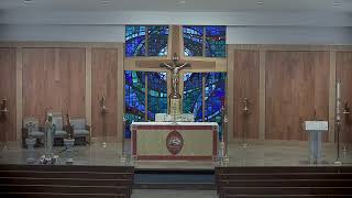 8:00 am Weekday Holy Mass - 5/1/2026
