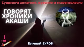 Хроники Акаши. Алкоголь И Алкоголизм. Сущности Вредных Привычек И Способы Избавления / Евгений Буров