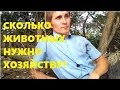 Сколько животных нужно для самообеспечения едой?