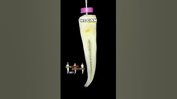 Mastering File Activation Techniques for Precision ✨🔧