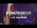 Capture de la vidéo Washington Dead Cats #01