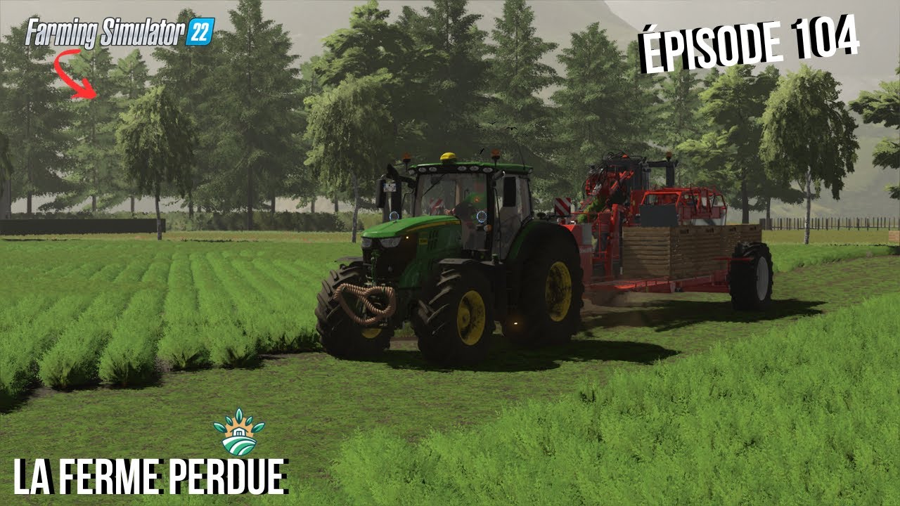 La récolte des carottes en marche I C'est vraiment TOP!! I La Ferme ...