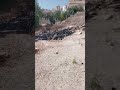 انا كنت عامل مشكله رمت كاز ولعت اهميه النظافه اكسبلور اكسبلور 