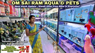 Om Sai Ram Aqua & Pets Aquarium Fish Shop | New Stock Update & Diwali Offer Free Gifts